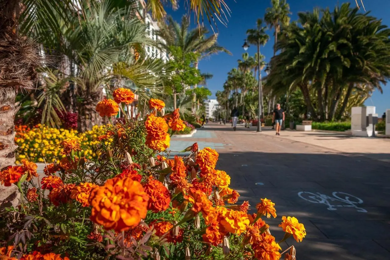 Charming Beachfront Apartment In Estepona Marina